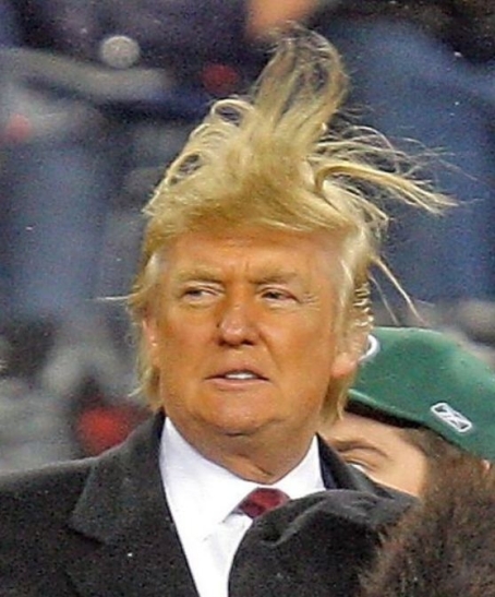 trump-hair